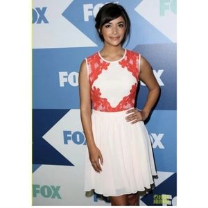 Ted Baker Vember Lace Chiffon Embroidered Dress Women's Size 5/USA 12 New Tags.